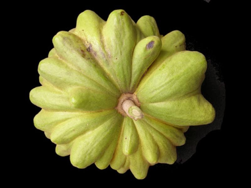  types of cherimoya