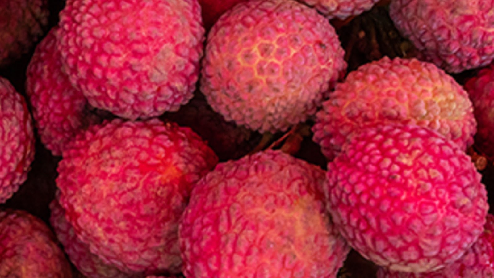 types of lychee