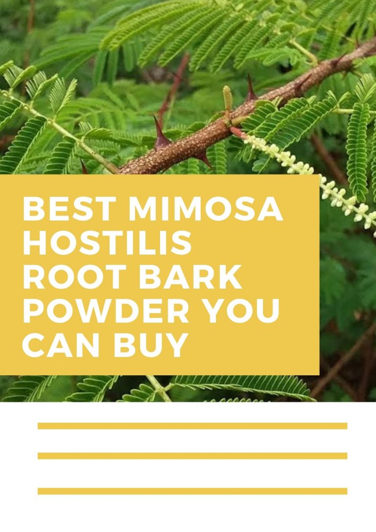 3 Best Mimosa Hostilis Root Bark Powder You Can Buy