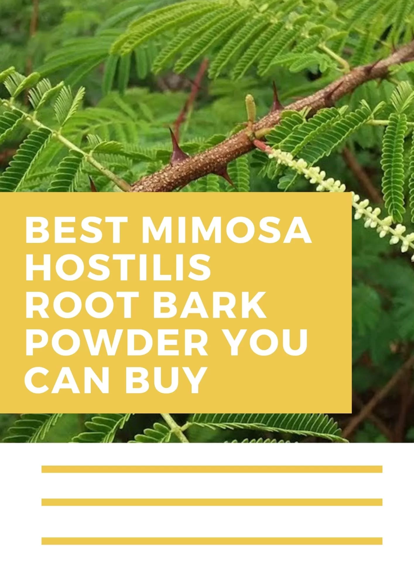 mimosa hostilis root bark powder