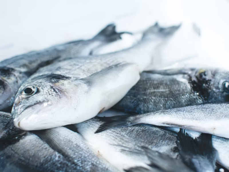 Frozen meat lasts longer with vacuum sealers.