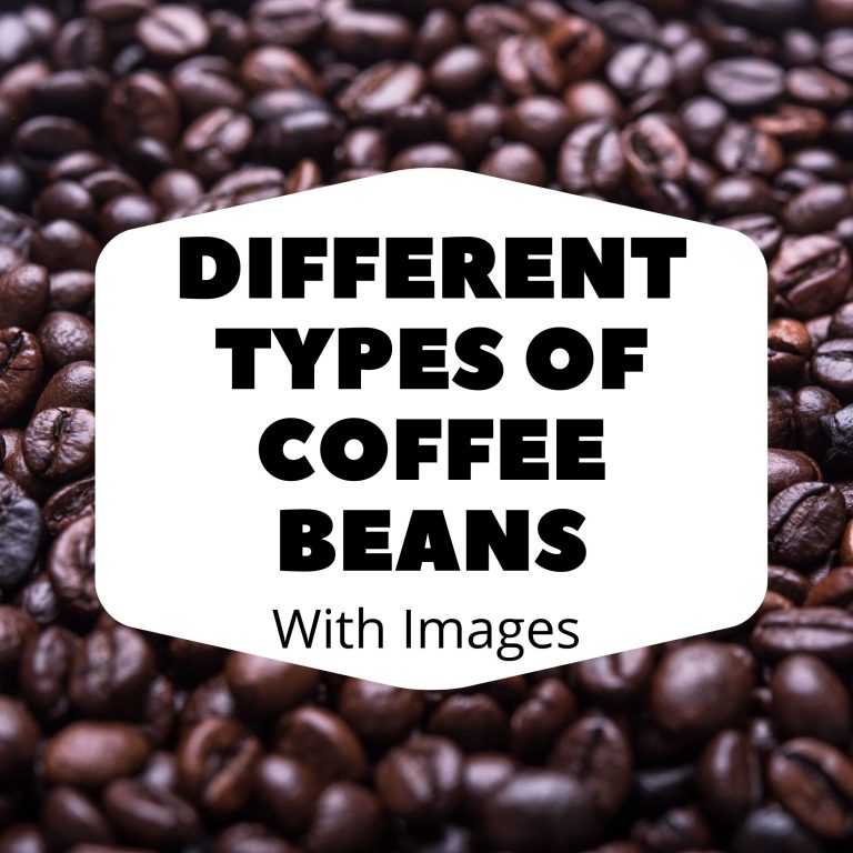 9 Different Types of Coffee Beans With Images