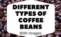 9 Different Types of Coffee Beans With Images