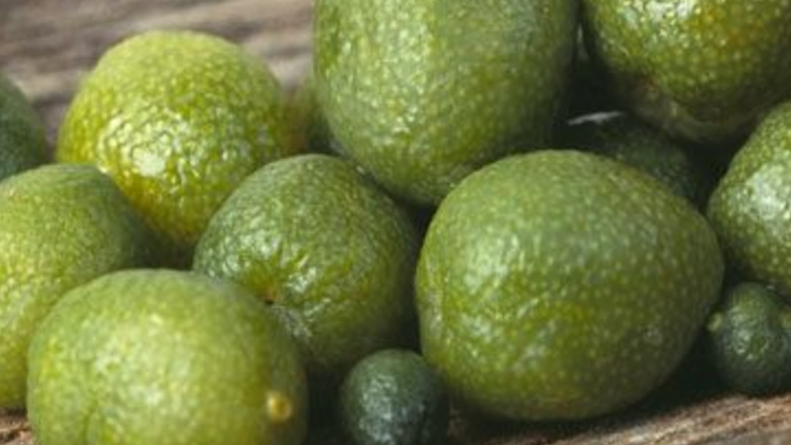 types of limes