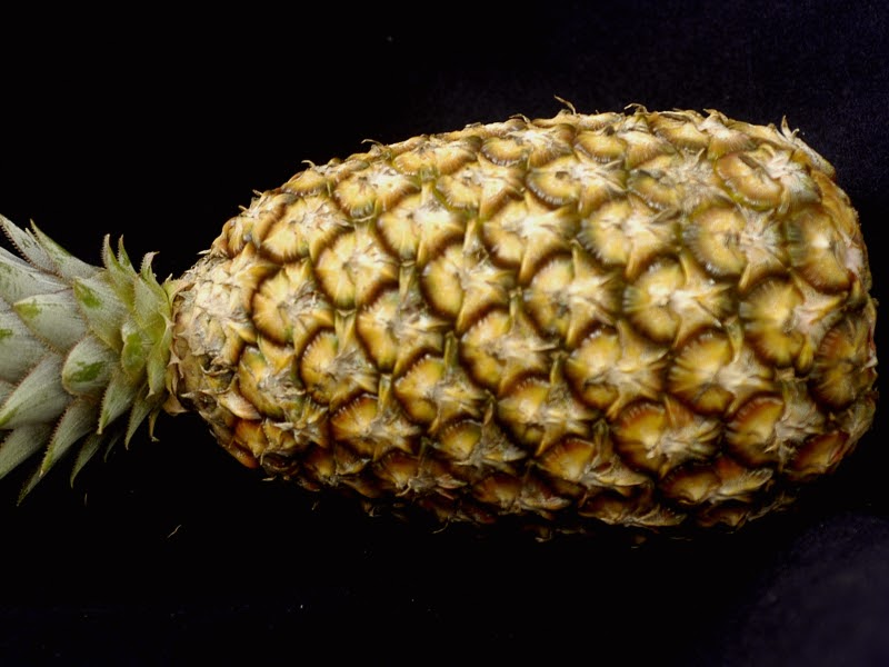 types of pineapple