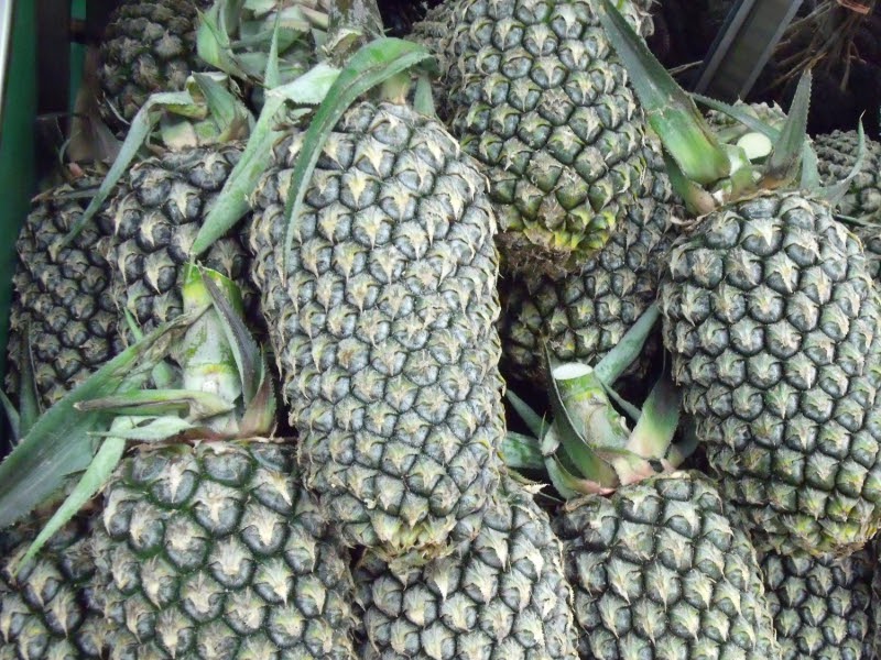 types of pineapple