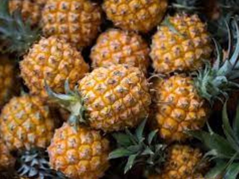 types of pineapple