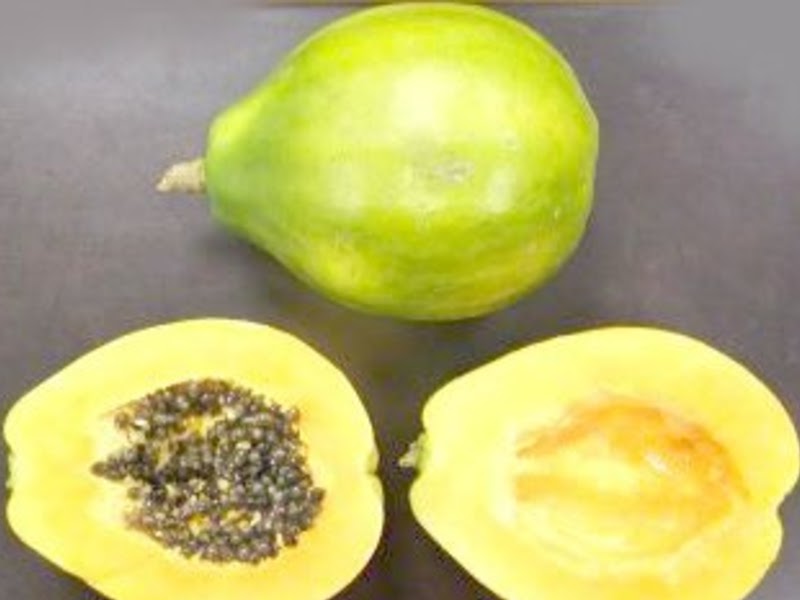 types of papaya