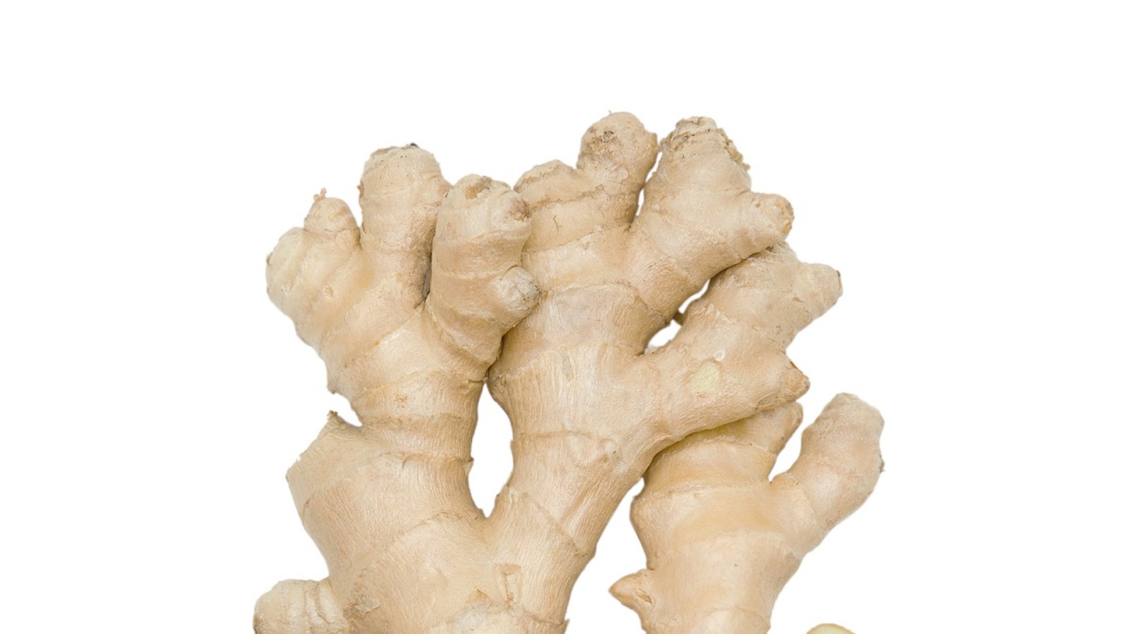 types of fresh ginger