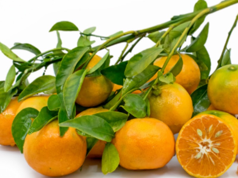  types of tangerines