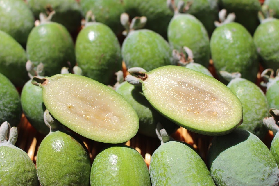 Types of Guava