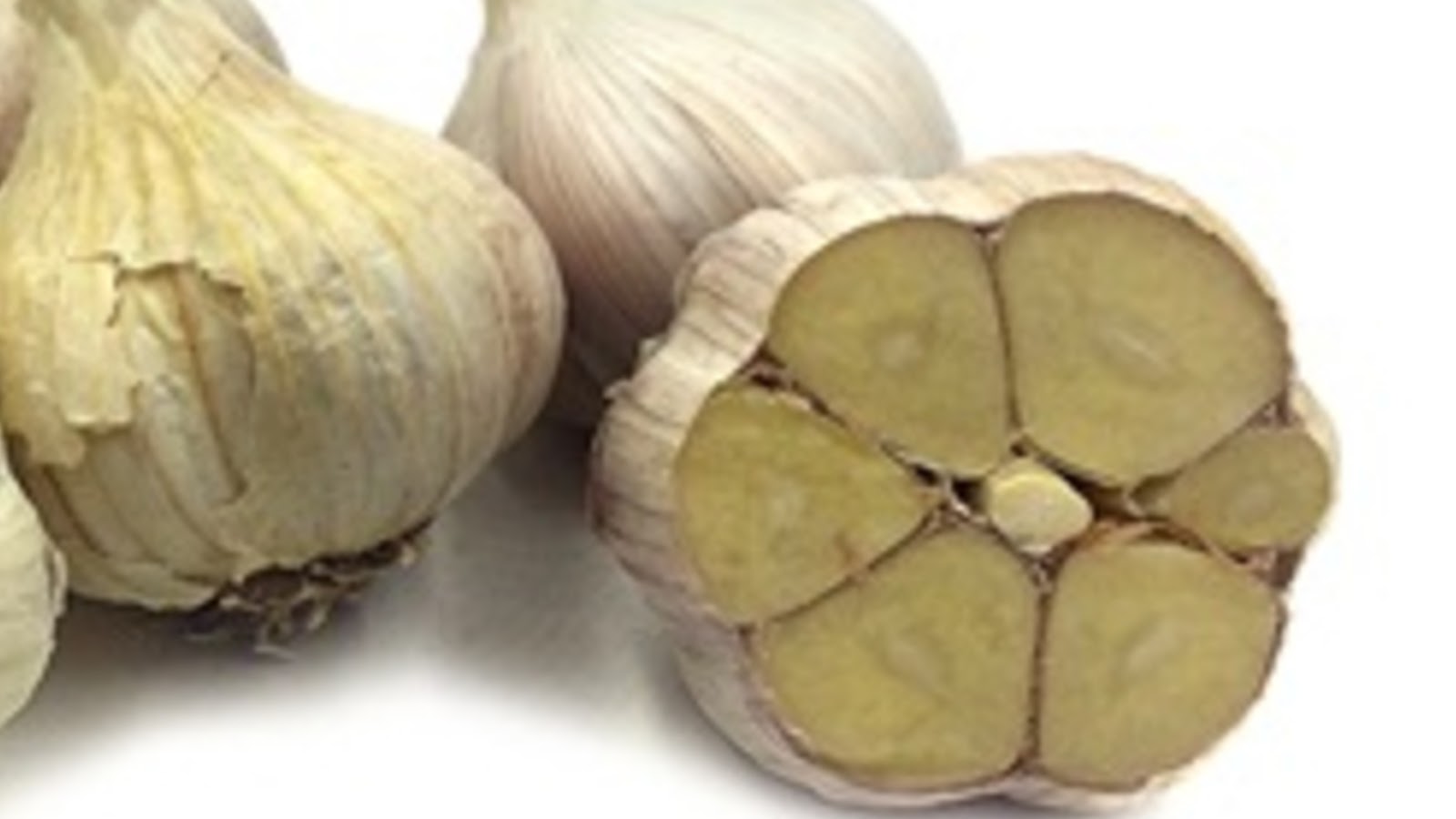 types of garlic