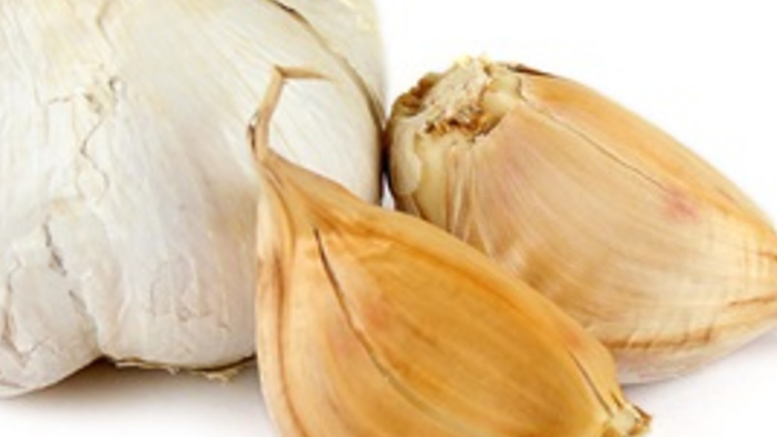 types of garlic