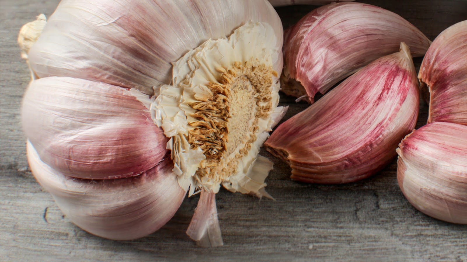 types of garlic