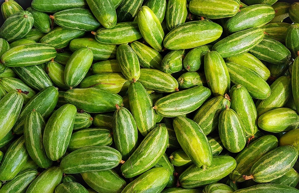 types of cucumbers