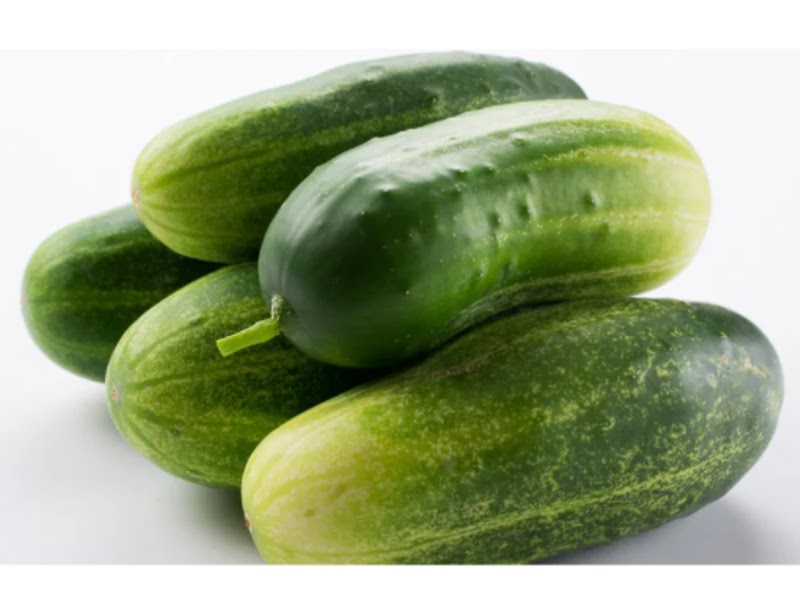 types of cucumbers