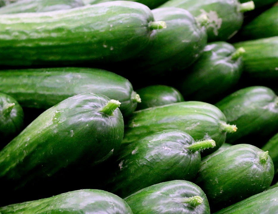 types of cucumbers