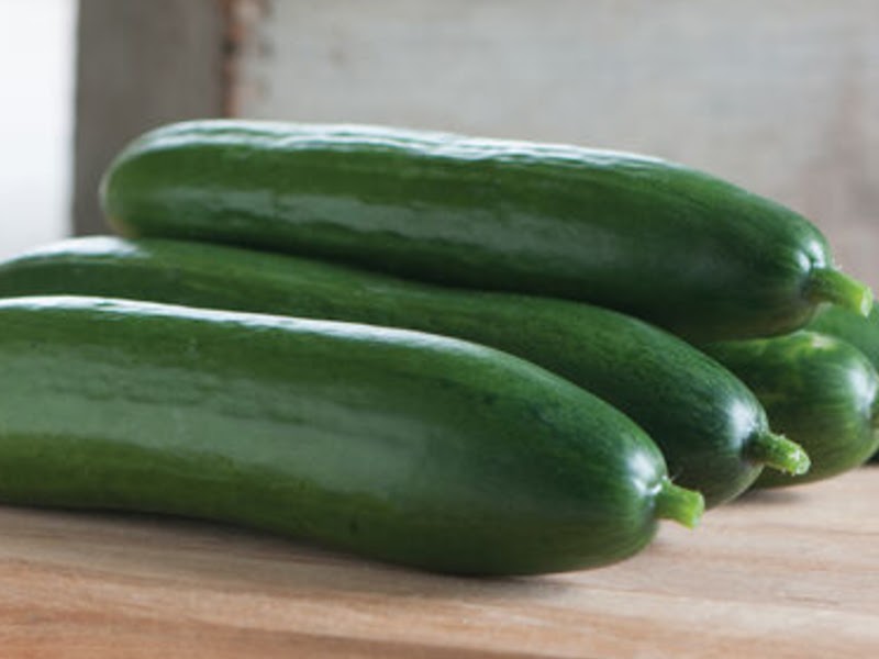 types of cucumbers