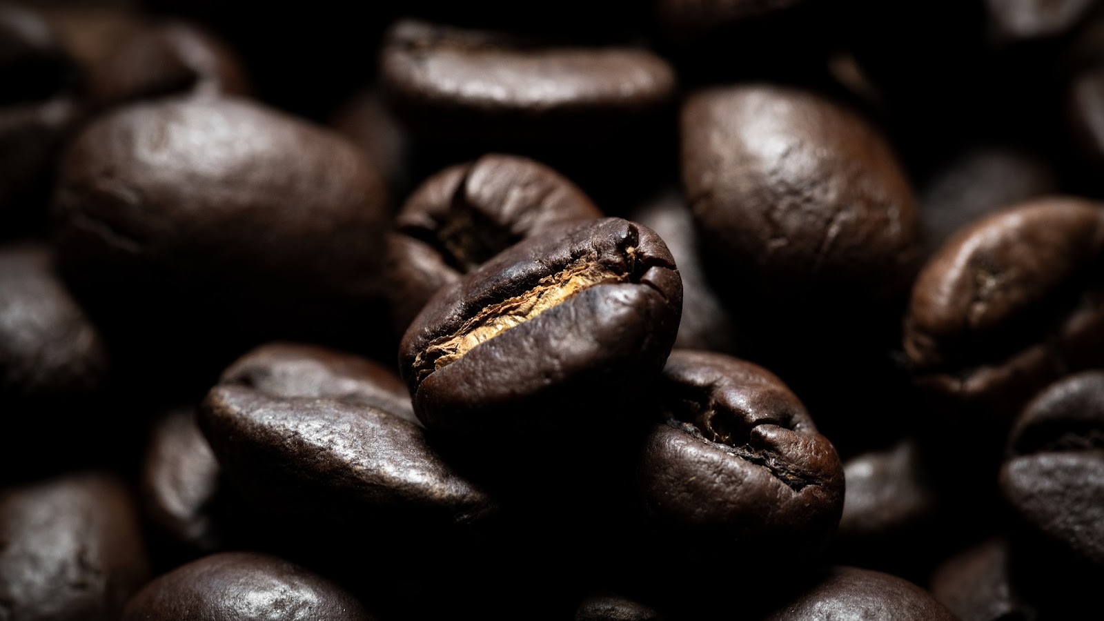  types of coffee beans