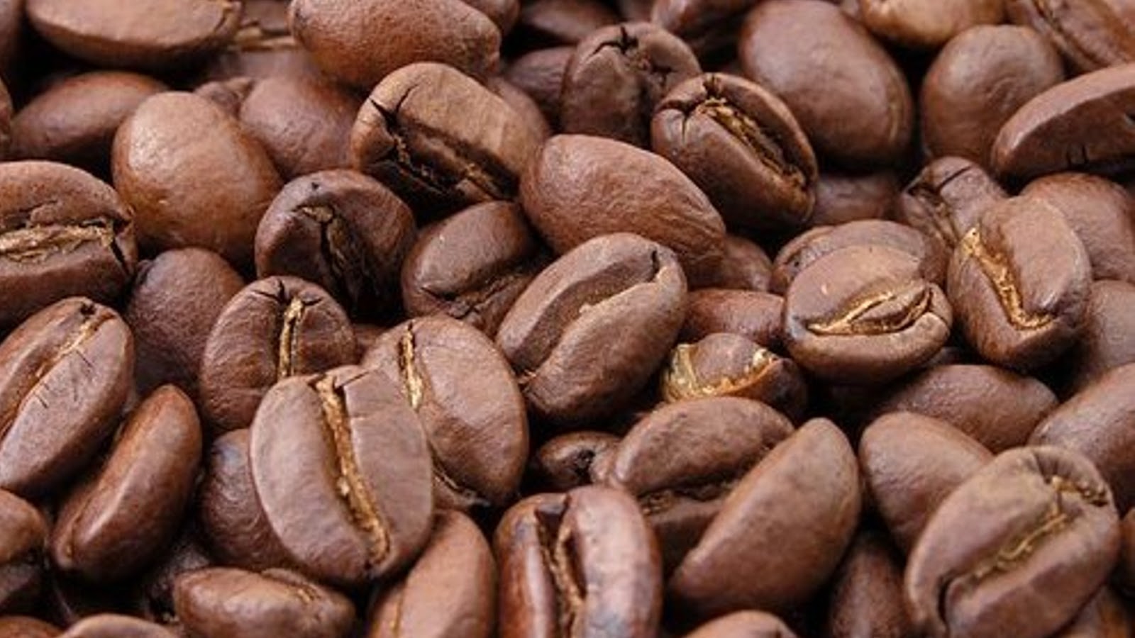  types of coffee beans