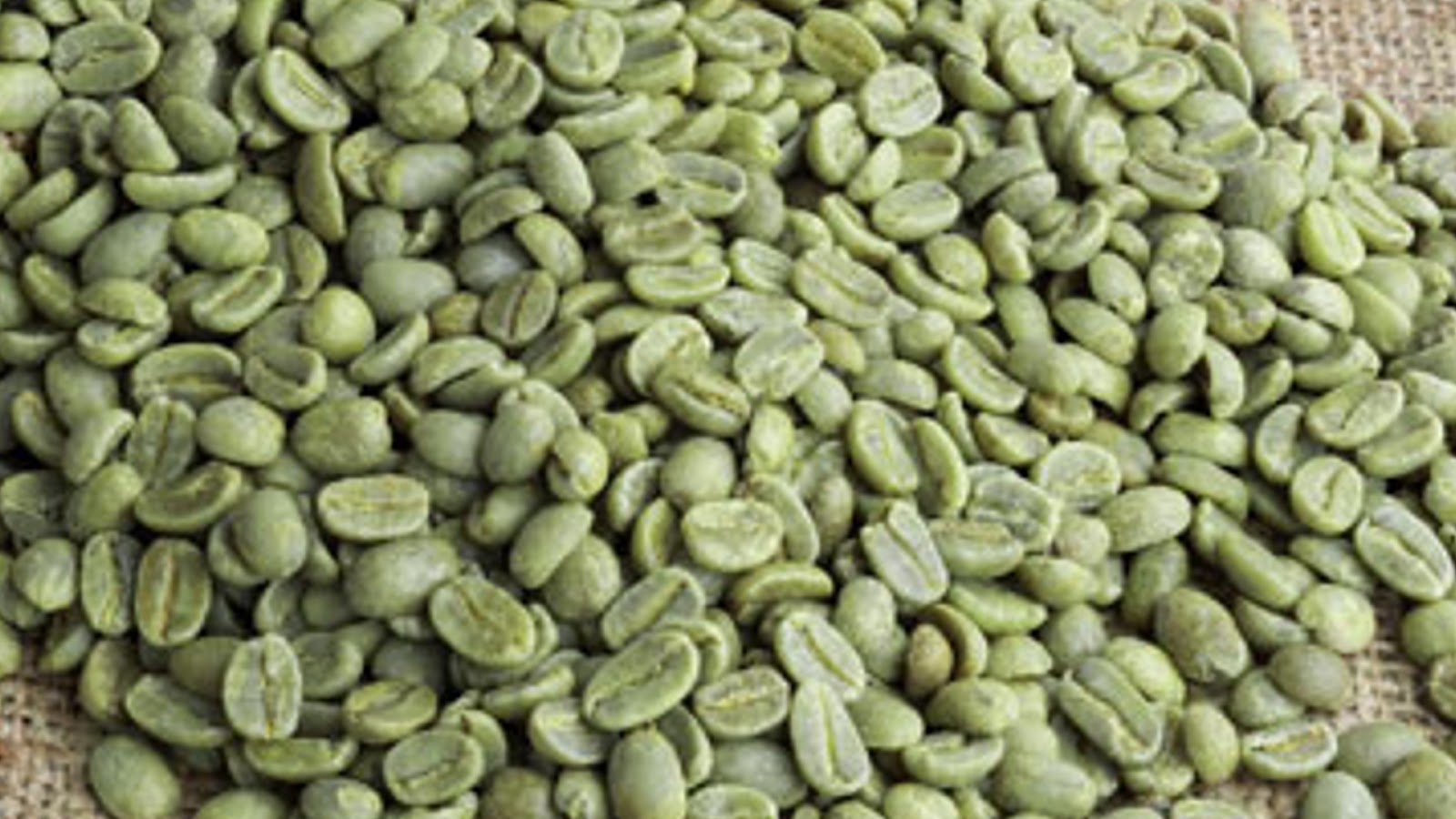  types of coffee beans