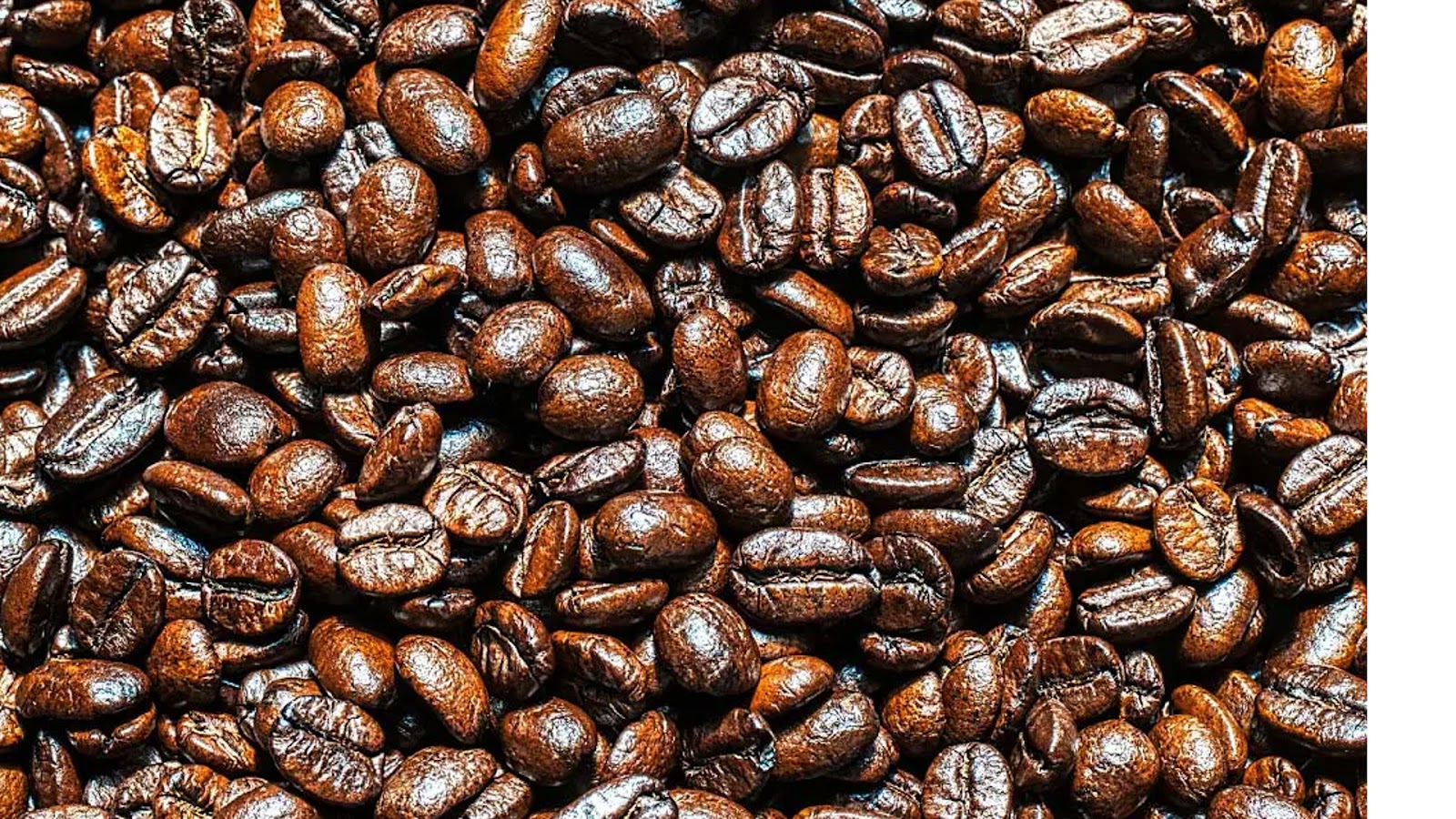  types of coffee beans