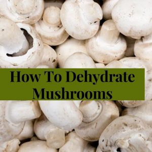 How To Dehydrate Mushrooms