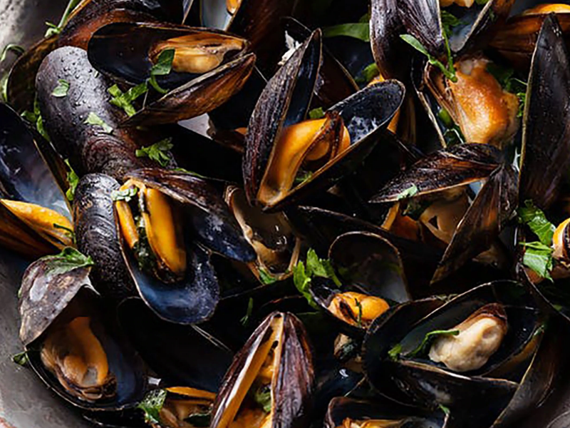 Black Mussels