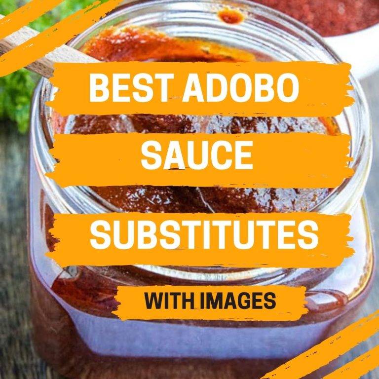 8 Best Adobo Sauce Substitutes With Images