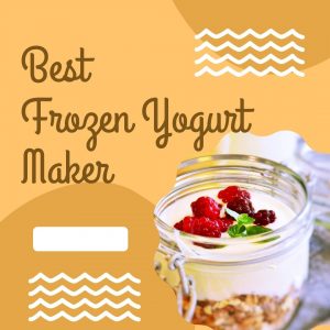 best frozen yogurt maker