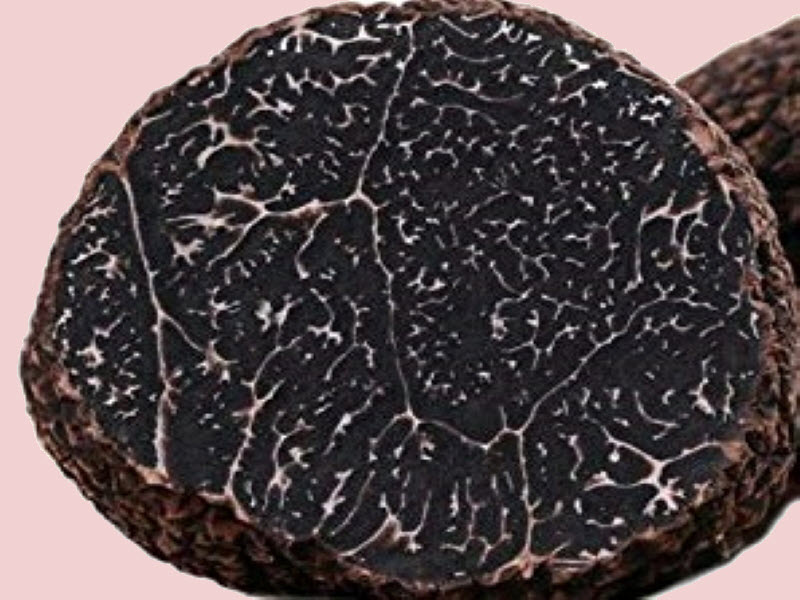 Chinese Black Truffle
