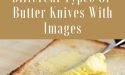 14 Different Types Of Butter Knives With Images