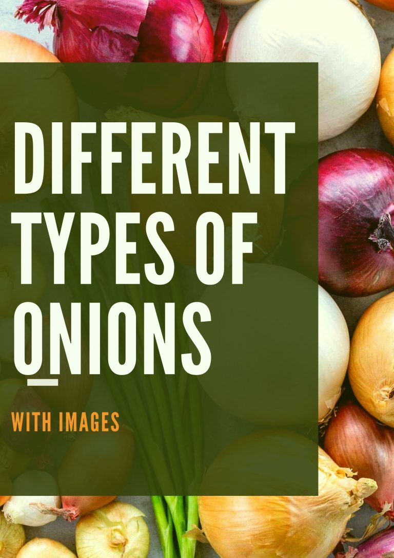 13 Different Types Of Onions With Images