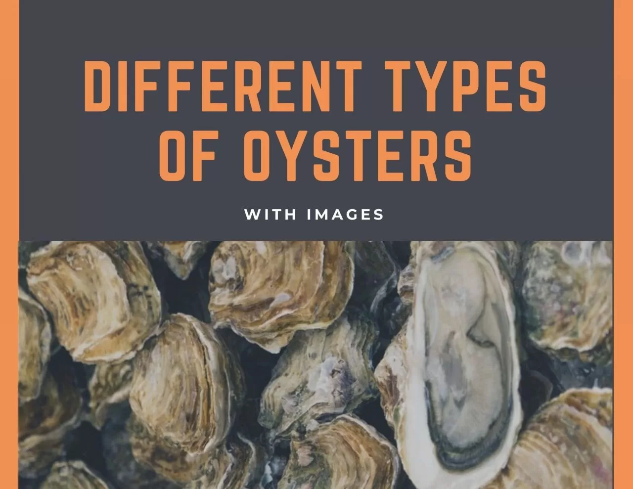 types of oysters