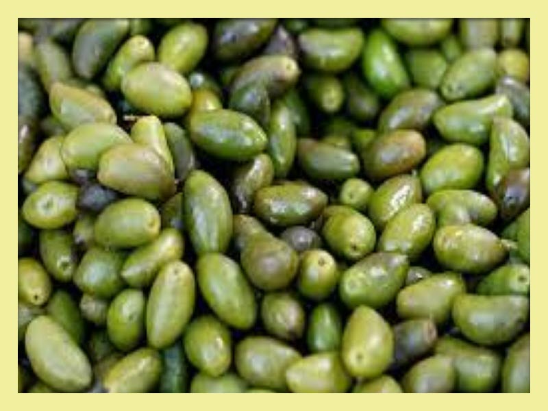 Lucques Olives