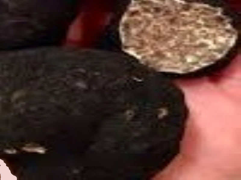 Oregon Black Truffle