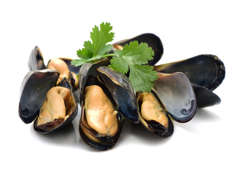 Black Mussels