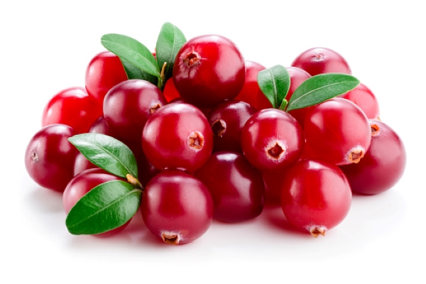 Cranberry