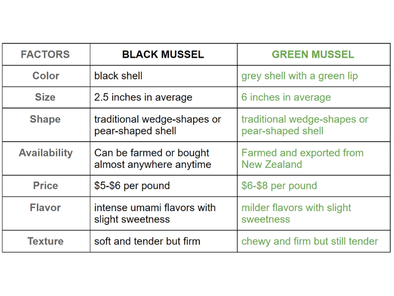 Green mussels vs black mussels, what is the difference