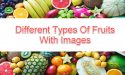 4 Different Types Of Fruits With Images