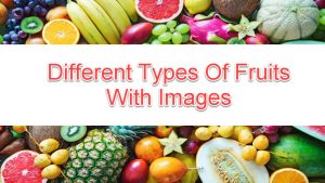 Types Of Fruits