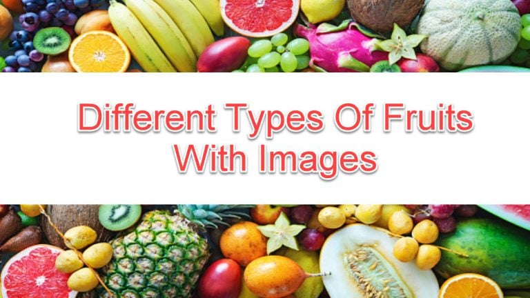 4 Different Types Of Fruits With Images