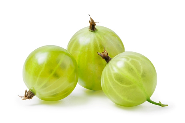 Gooseberry