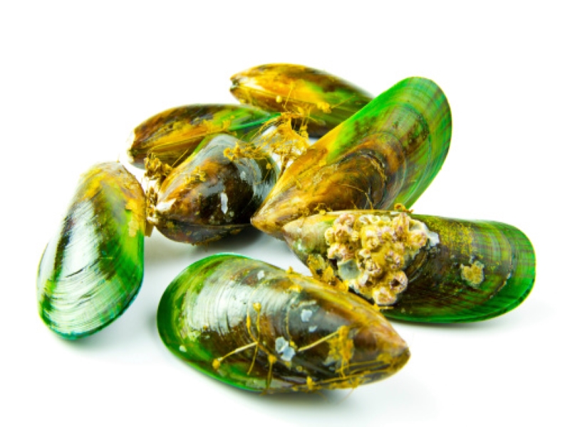 Green Mussels