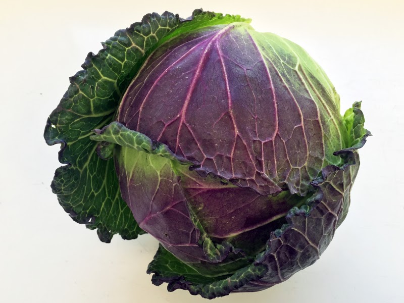 January King Cabbage