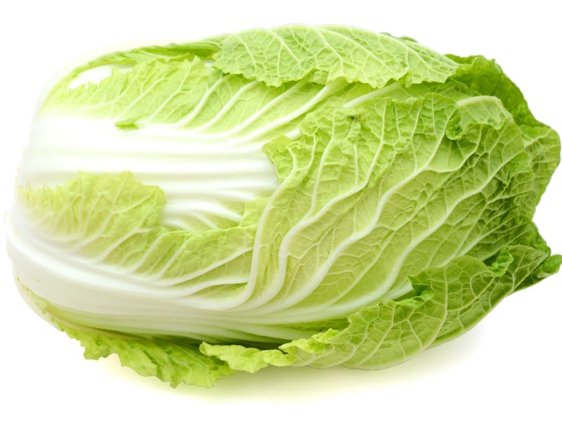 Napa Cabbage/Chinese Cabbage