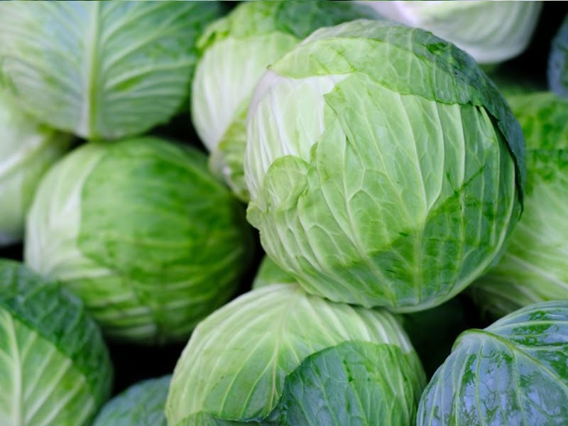 Green Cabbage