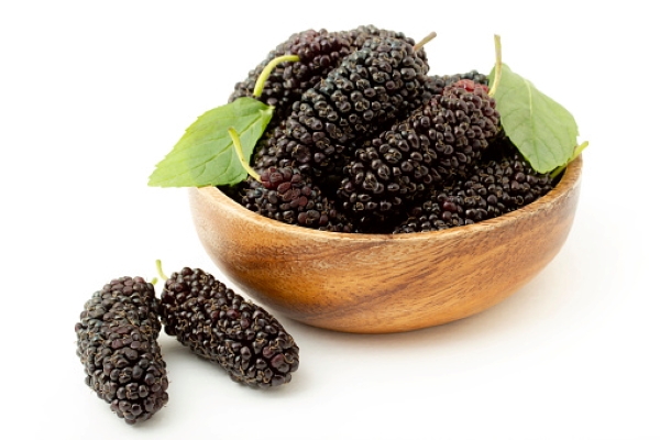 Mulberry