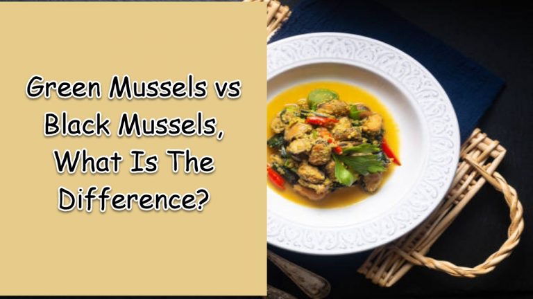 Green Mussels vs Black Mussels, What Is The Difference?