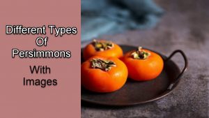 Types Of Persimmons